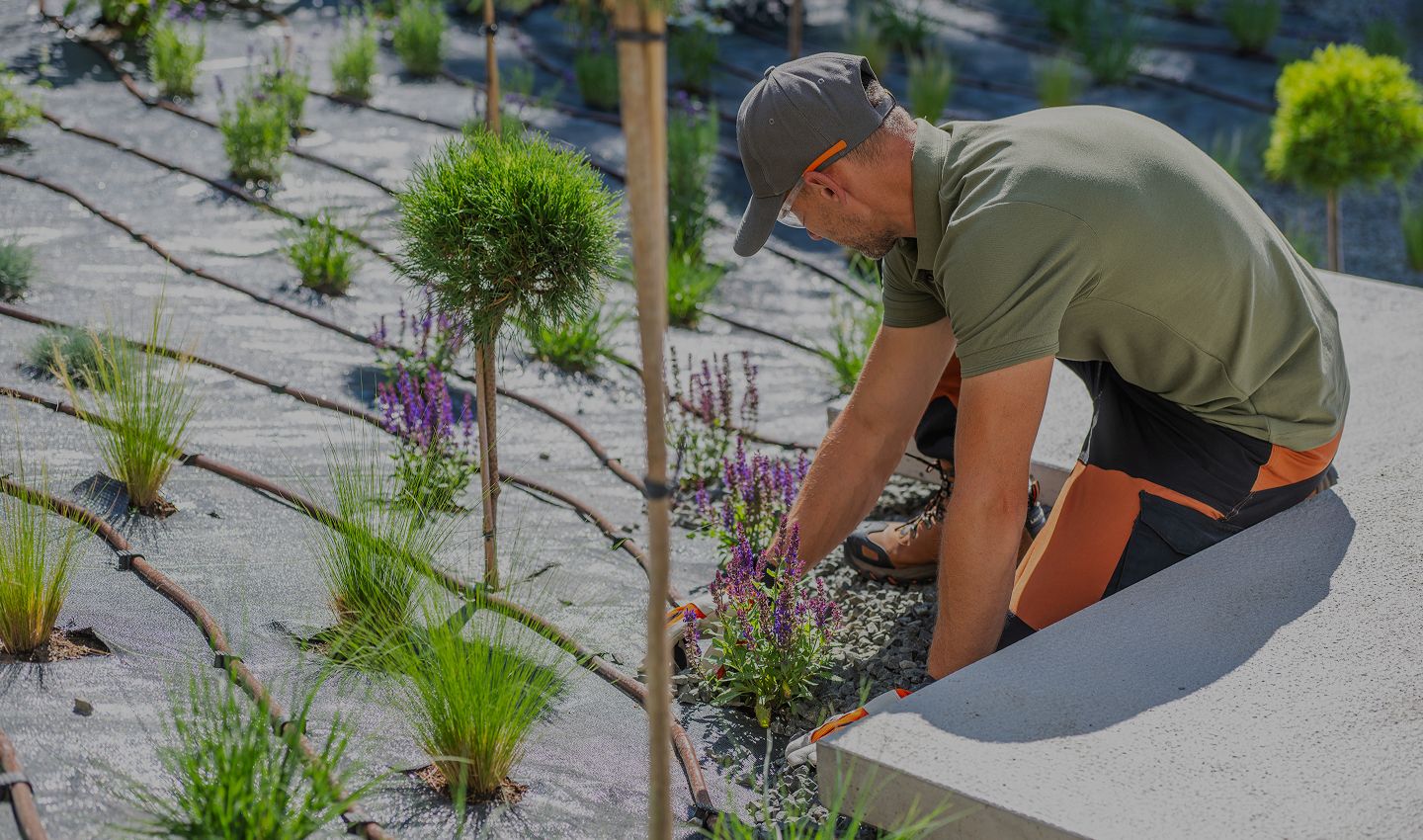 landscaping tauranga