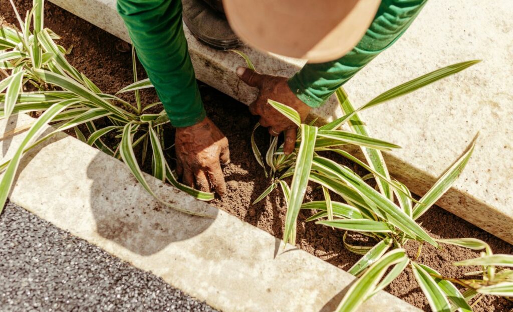 gardener cost