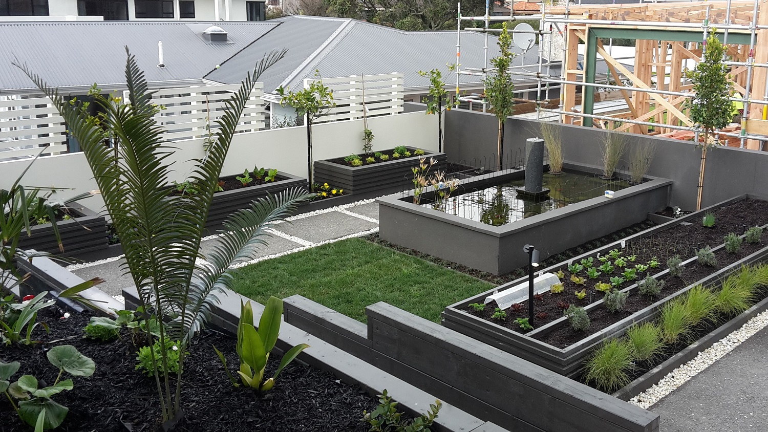 professional landscaper in Tauranga